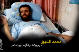 محمد القيق