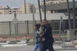 شهد