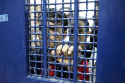 الاهمال الطبي